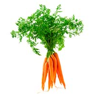 Carrots