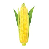 Corn