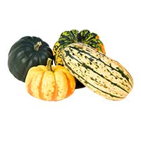 Winter Squash